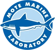 Mote Marine Laboratory & Aquarium
